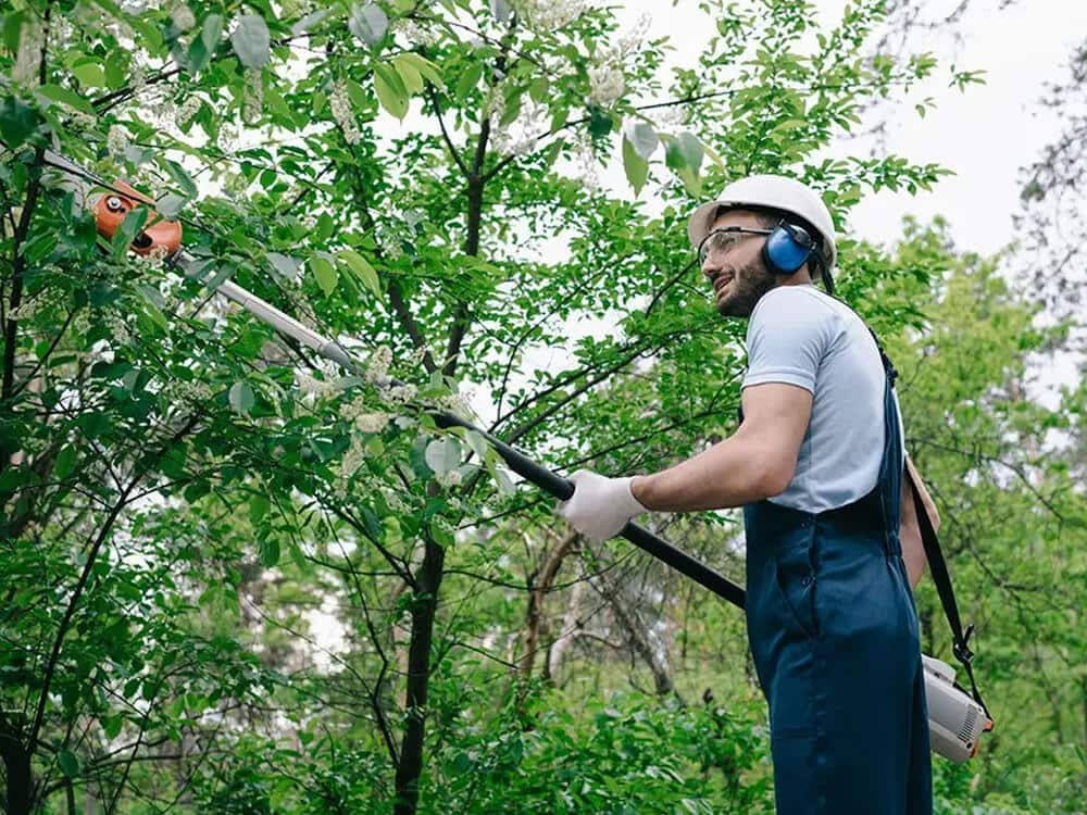Lumberjack Tree Service team