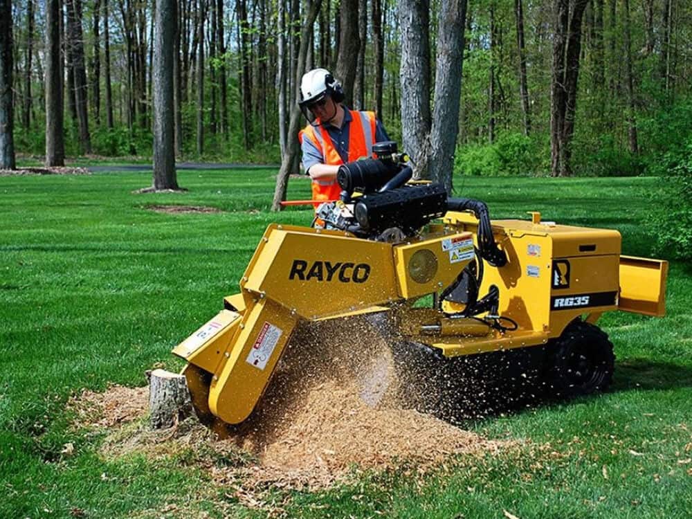 Tree services Dallas